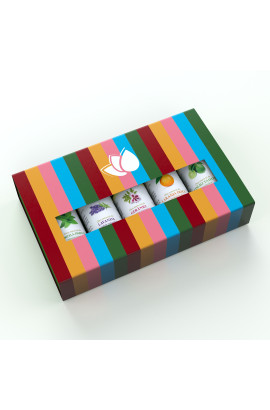 Kit presente: Hortelã-Pimenta, Gerânio, Laranja Doce, Lavanda, Limão Tahiti