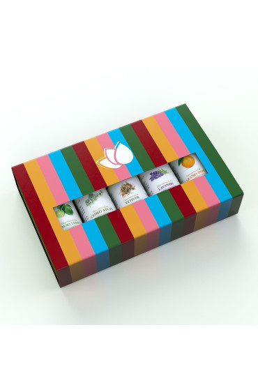 Kit presente: Cedro Atlas, Laranja Doce, Lavanda, Limão Tahiti, Vetiver