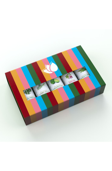 Kit presente: Bergamota LFC, Cedro Atlas, Gerânio, Litsea Cubeba, Pinho Siberiano