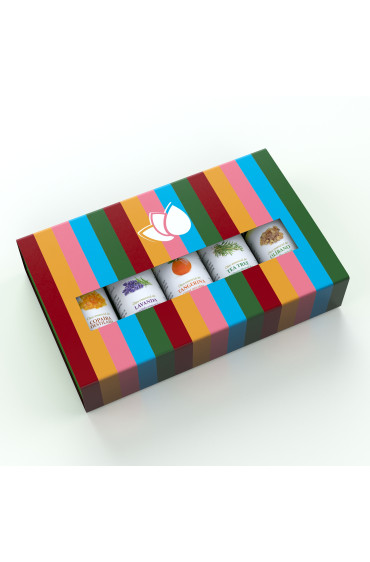 Kit presente: Copaíba Destilada, Lavanda, Olíbano, Tangerina, Tea Tree